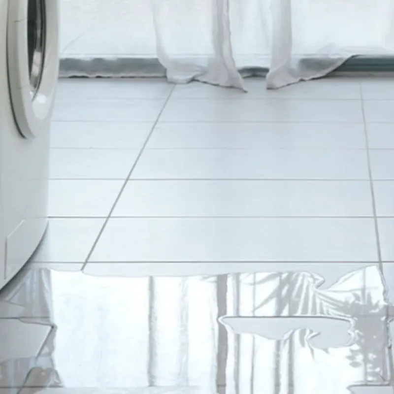 Appliance Leak Cleanup in Camden, SC